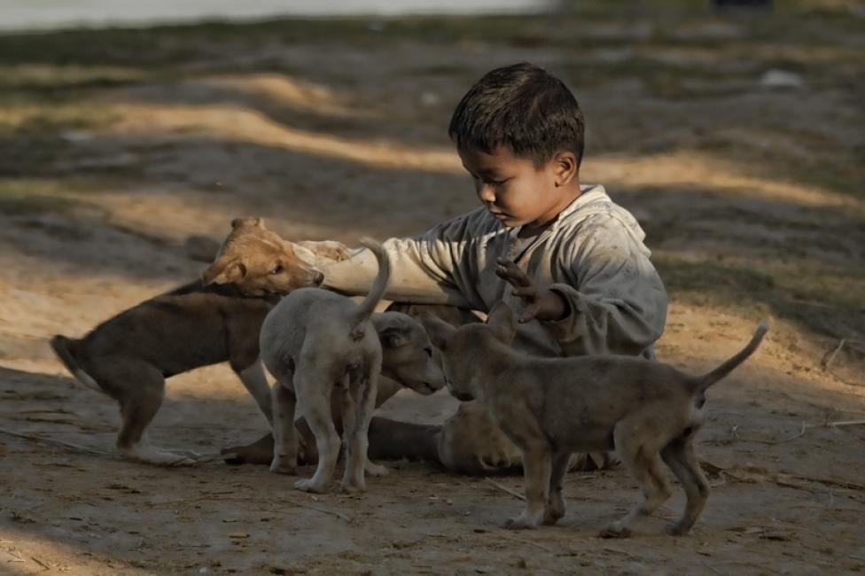 Imagen 31 de la galería de Myanmar